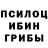 Псилоцибиновые грибы GOLDEN TEACHER Blesson Thomas