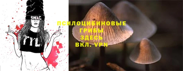 метадон Алексин